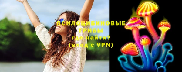 мдпв Волосово