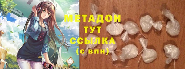 ГАЛЛЮЦИНОГЕННЫЕ ГРИБЫ Вяземский