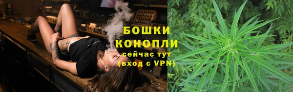 мдпв Волосово