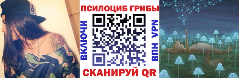 Галлюциногенные грибы прущие грибы  MEGA ONION  Тамбов  даркнет сайт 