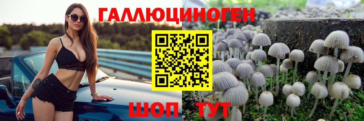 Галлюциногенные грибы Psilocybe Тамбов