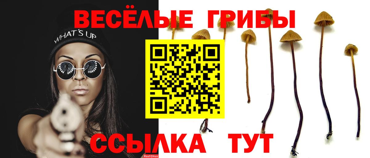 Псилоцибиновые грибы мухоморы  Вход с VPN  Псилоцибиновые грибы Psilocybe  Тамбов 